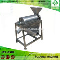 DJJ-XVAP08 Single channel pulping washing fruit juice processing machine